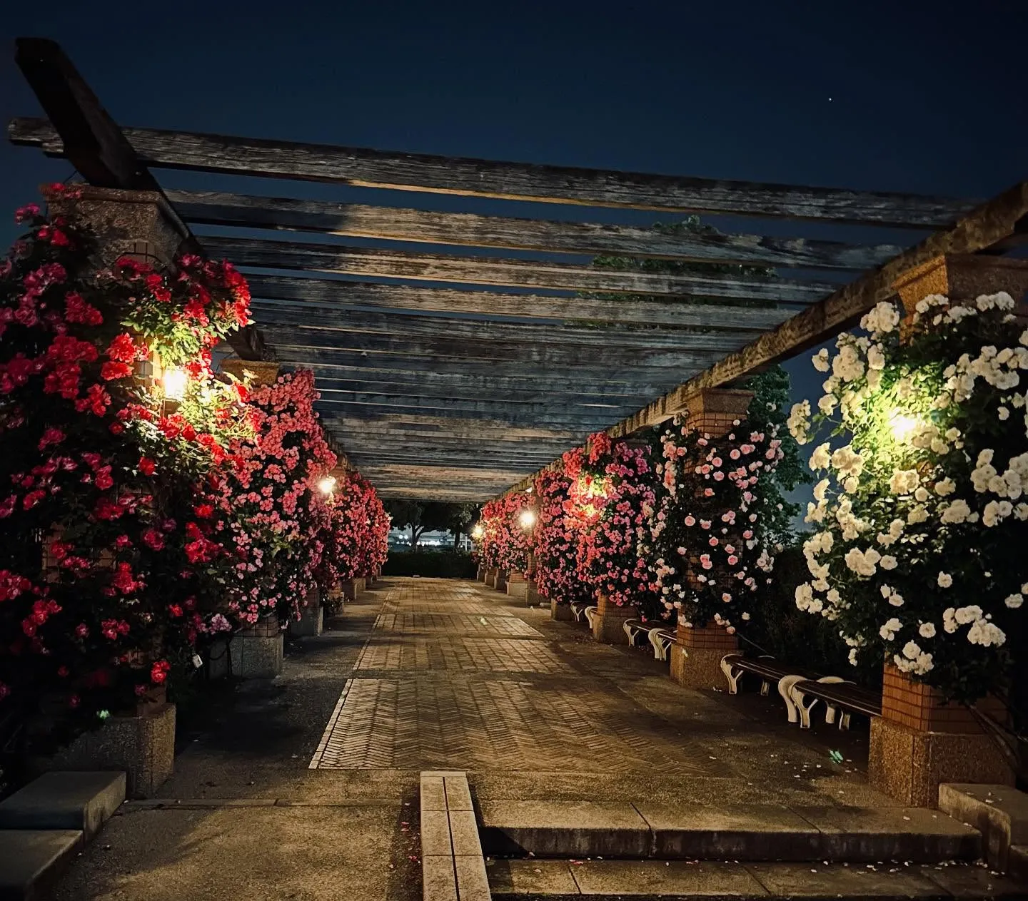 【たまには横浜へ】