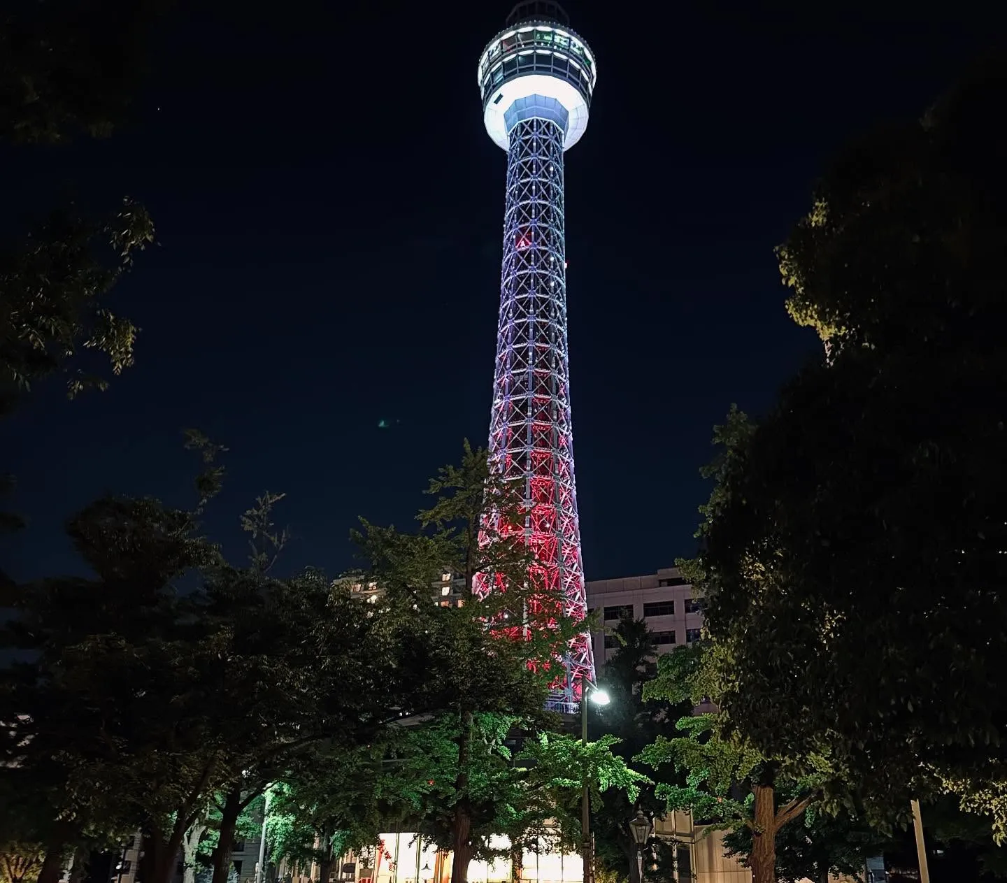 【たまには横浜へ】